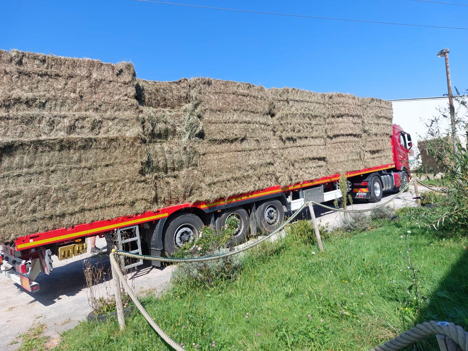 WhatsApp-Image-2026-02-25-at-00.16.52-1 Start